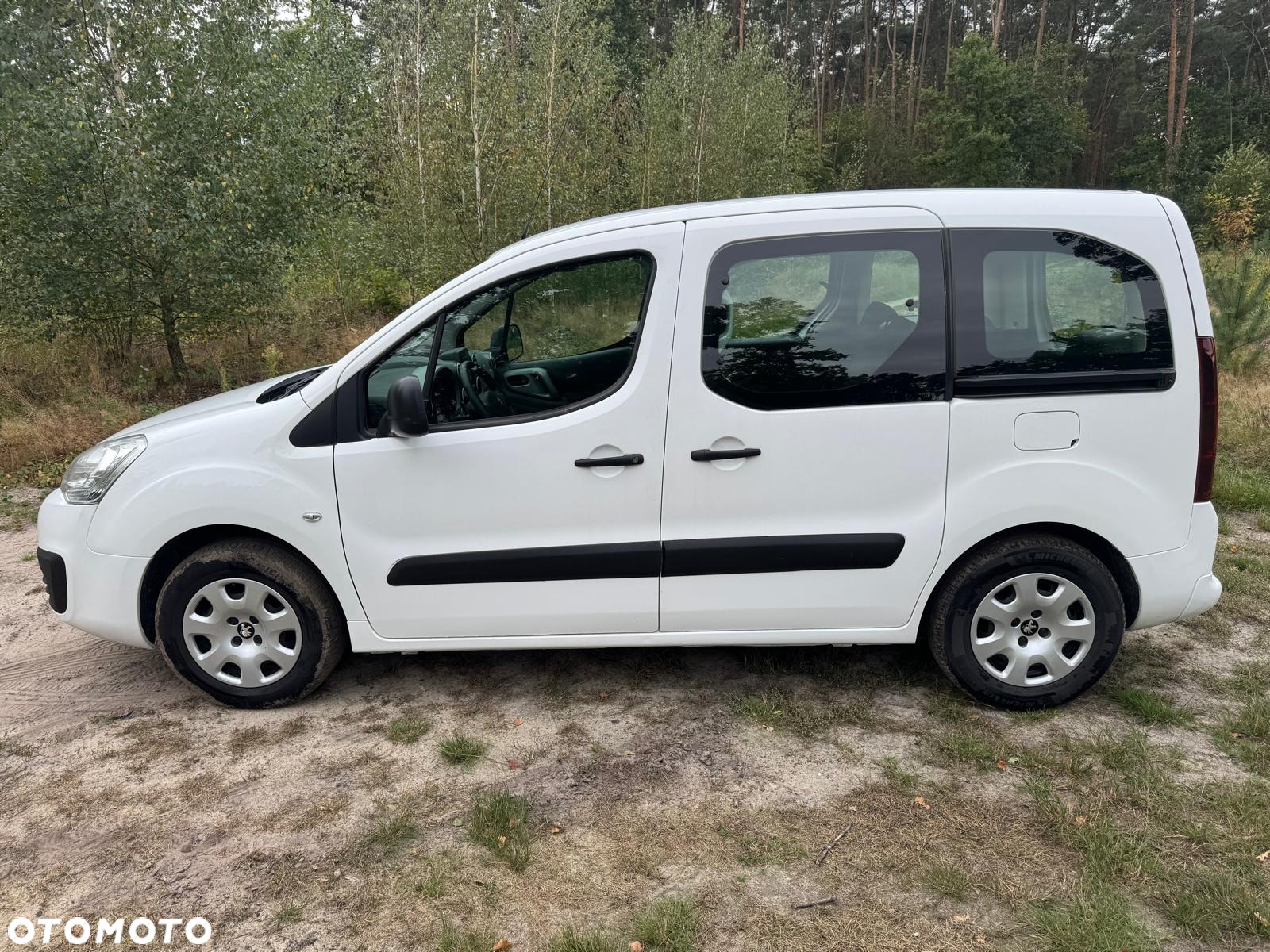 Peugeot Partner 1.6 BlueHDi Active S&S ETG - 11