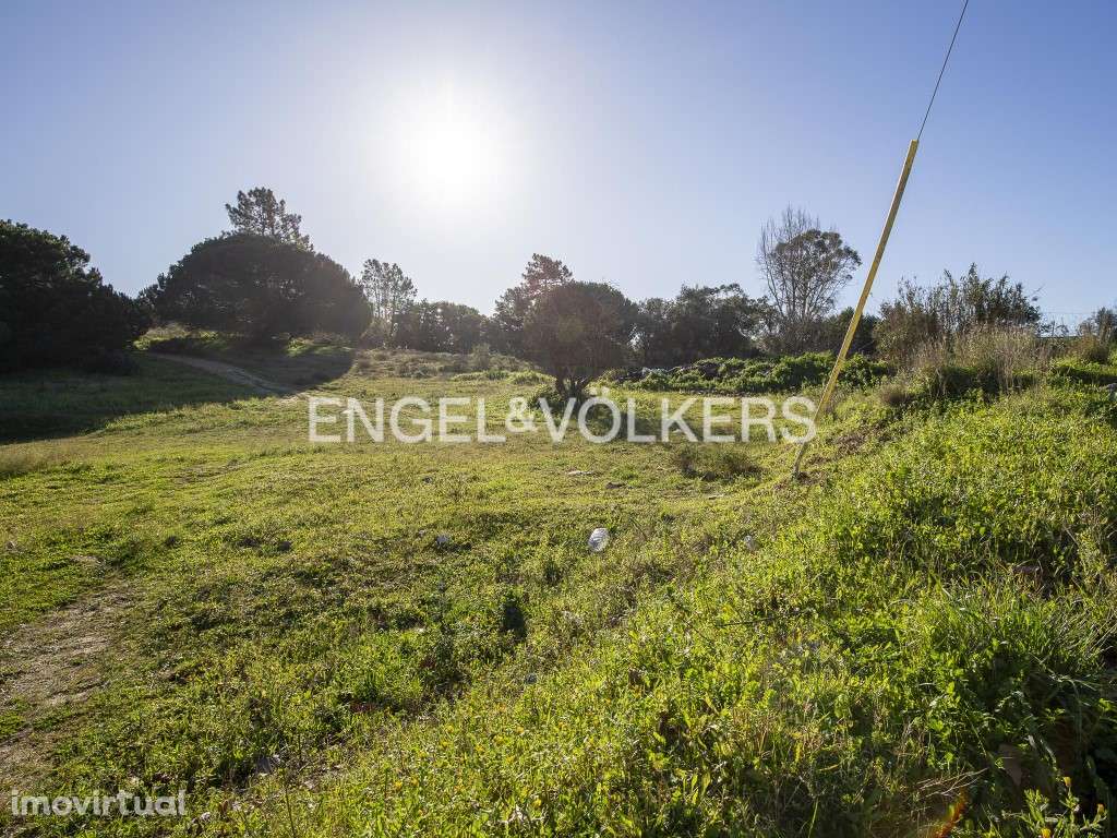 Terreno Agrícola com parcela destacada para construção - Grande imagem: 3/25