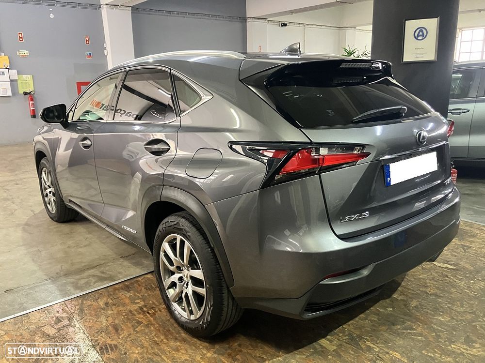 Lexus NX 300h Executive Plus - 7