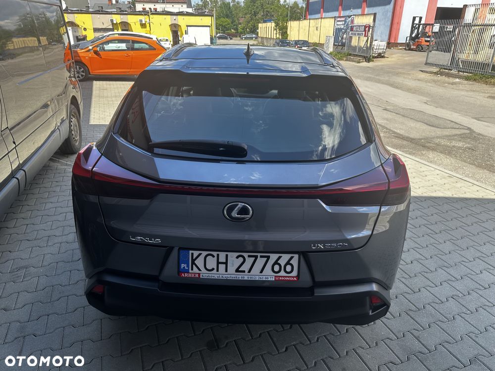 Lexus UX 250h Elegance 2WD - 17
