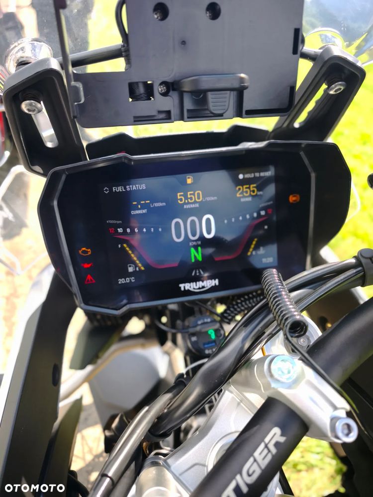 Triumph Tiger - 13