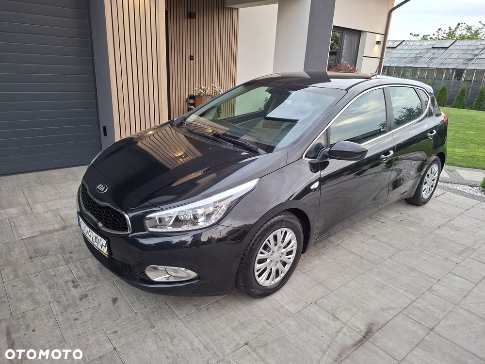 Kia Ceed - 1