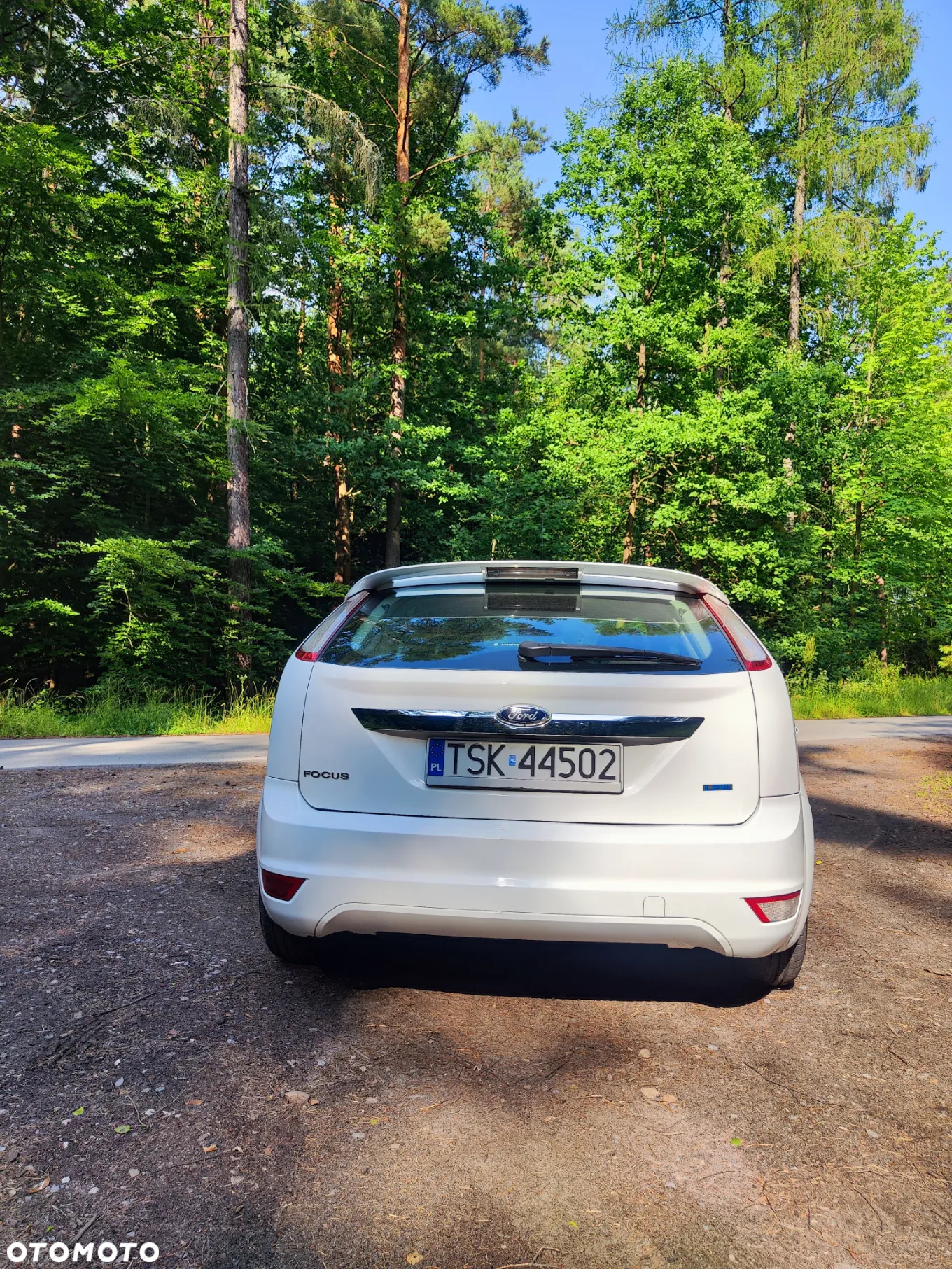 Ford Focus - 7