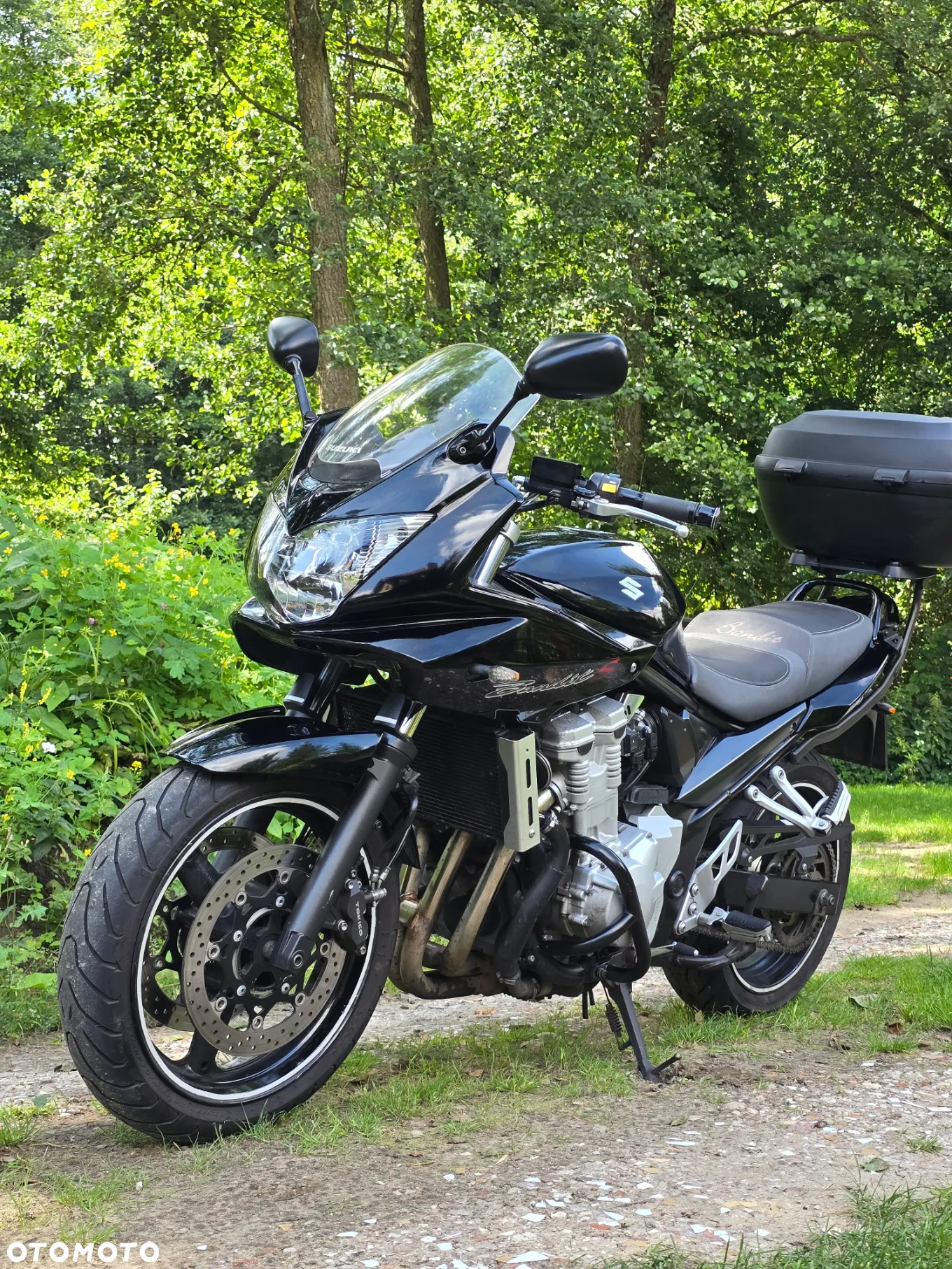 Suzuki Bandit - 3
