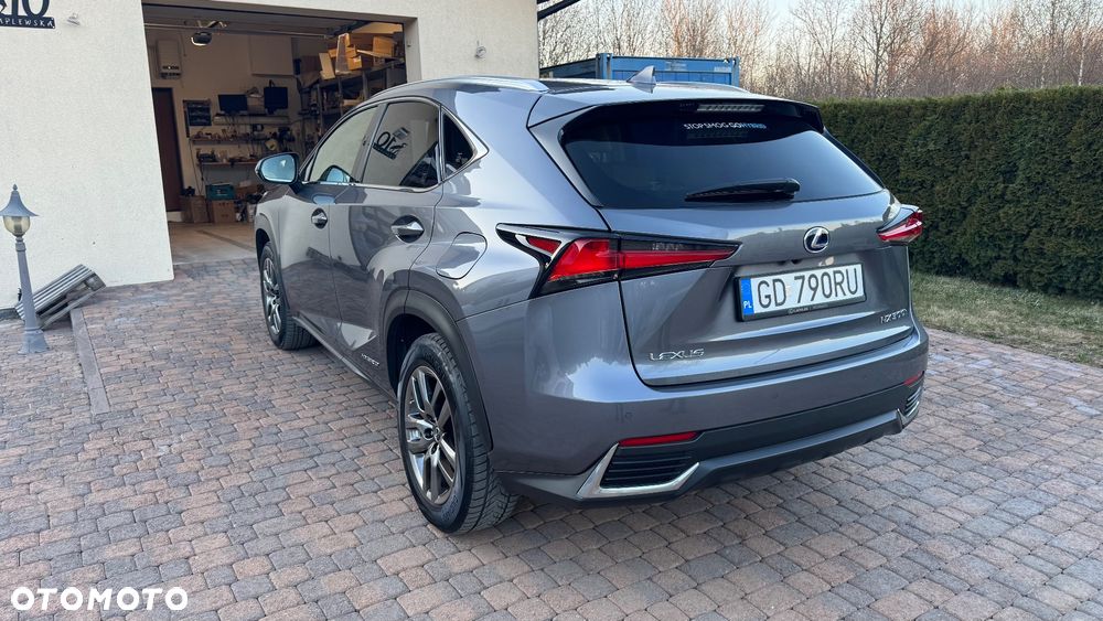 Lexus Nx 2018 photo 4