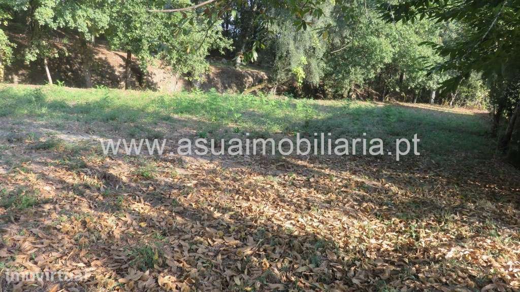Terreno Agrícola e Bouça - Goães - Grande imagem: 4/9