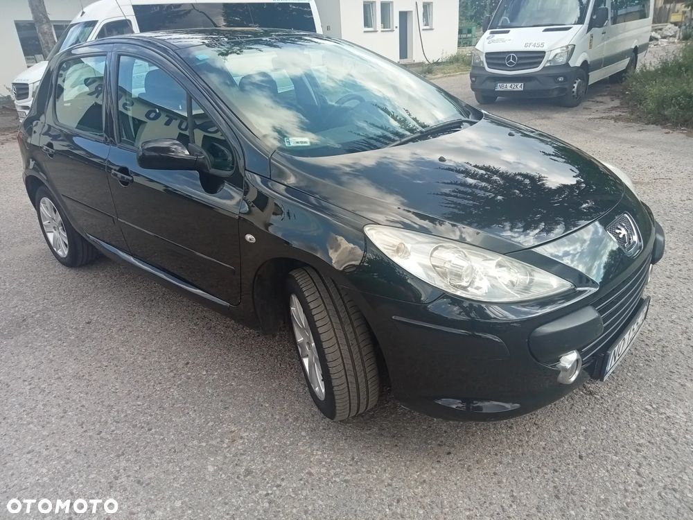 Peugeot 307 1.6 HDI Trendy (klm) - 18