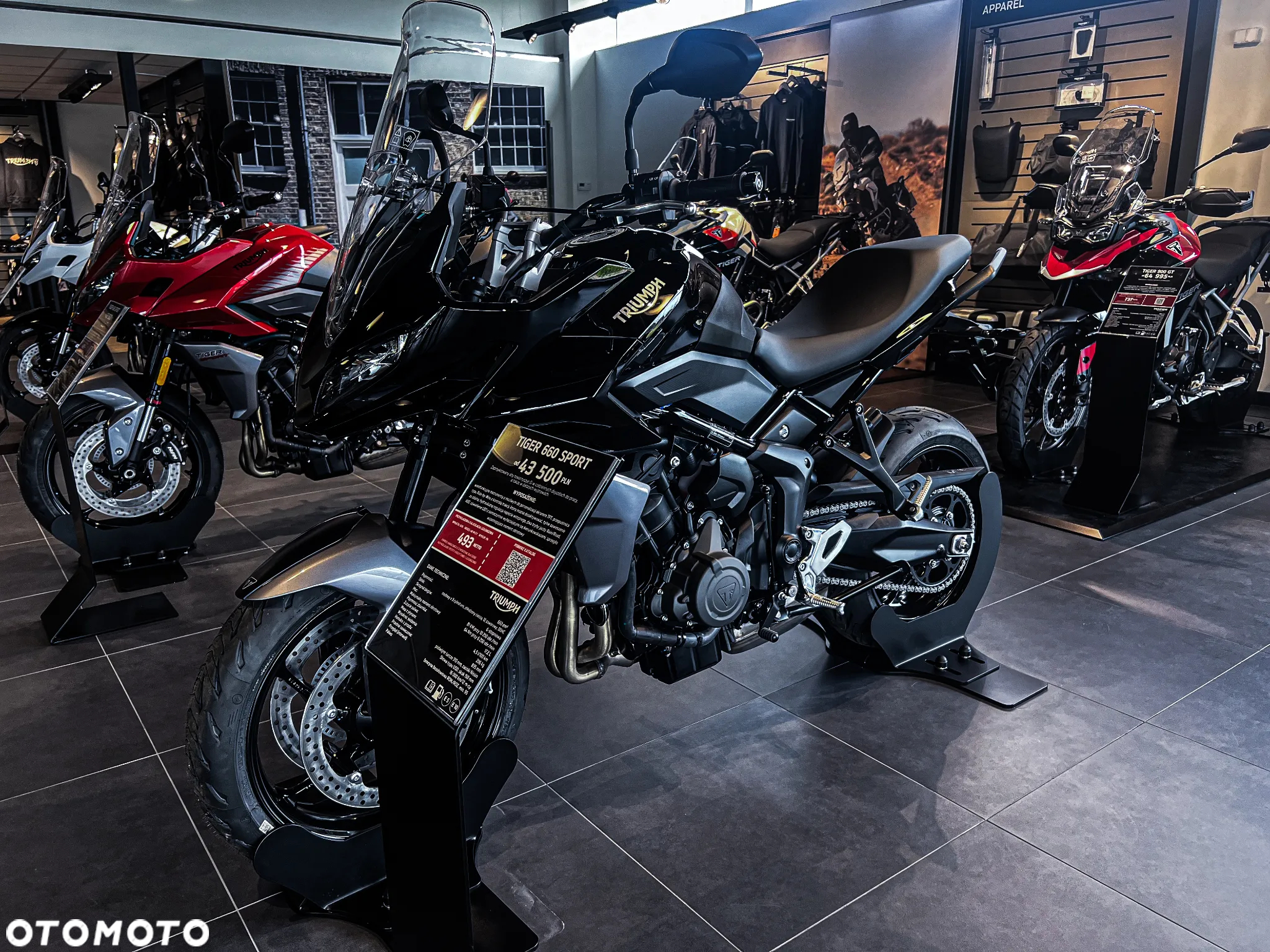 Triumph Tiger - 4