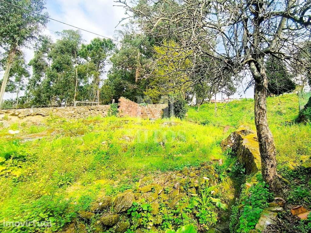 Moradia T3 para venda em Carvoeiro - Viana do Castelo - Grande imagem: 5/24