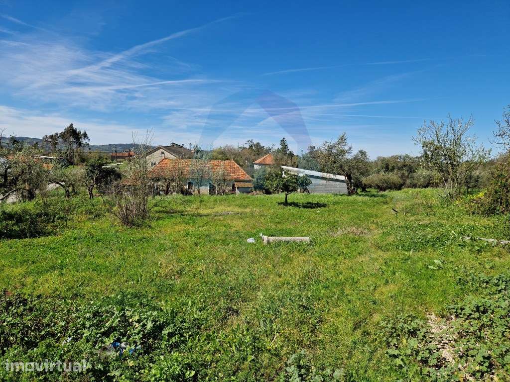 Terreno com Viabilidade de Construção - Pombal - Grande imagem: 4/5