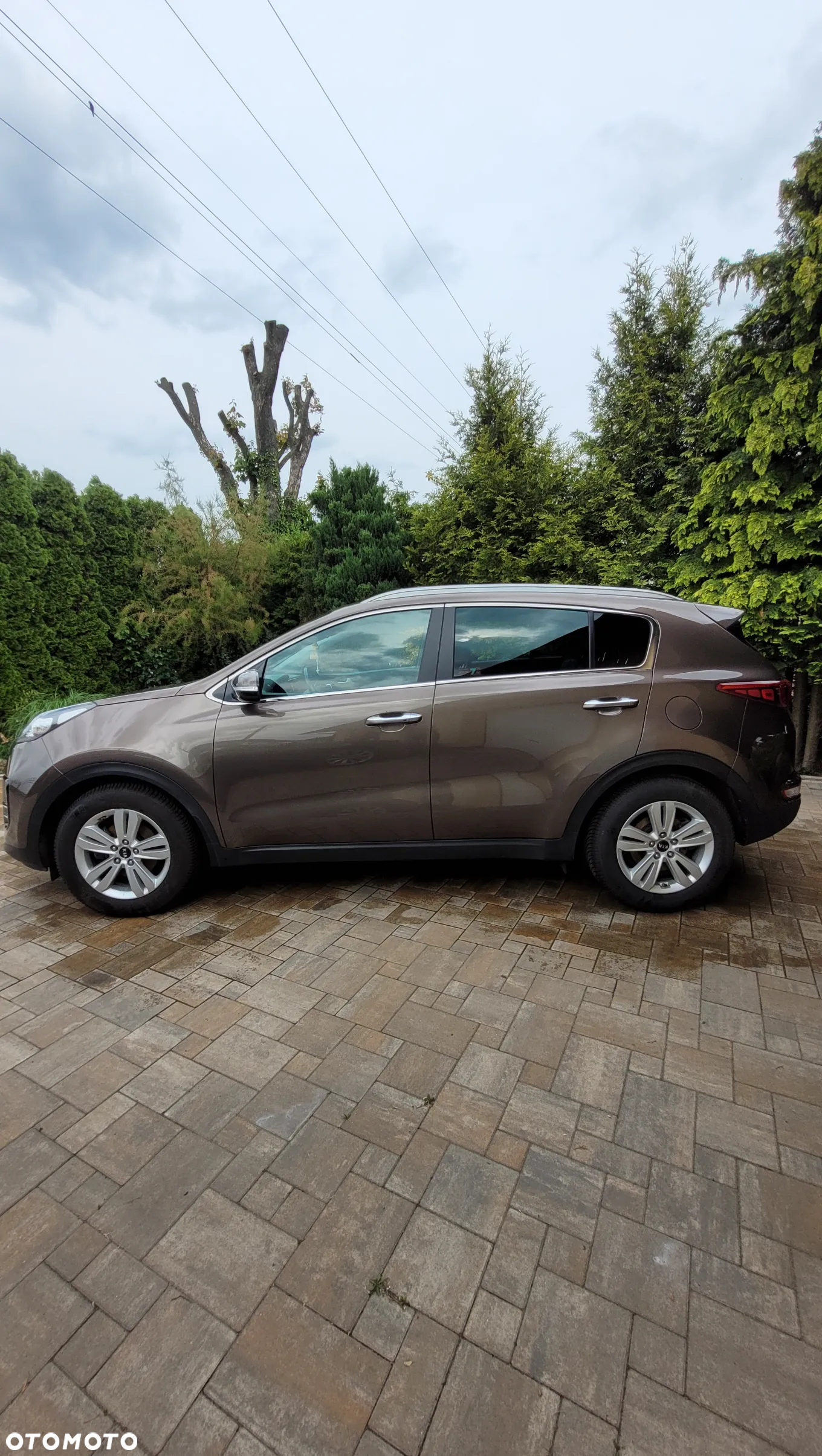 Kia Sportage 1.7 CRDI Business Line 2WD DCT - 14