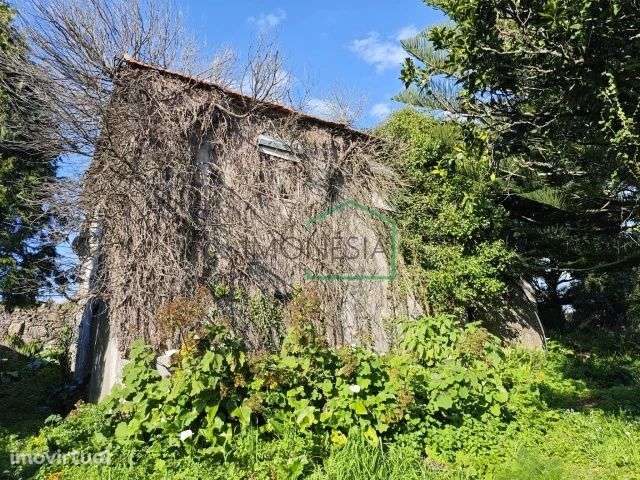 Quintinha em Riba de Âncora, com casa em pedra para recuperar . - Grande imagem: 3/6