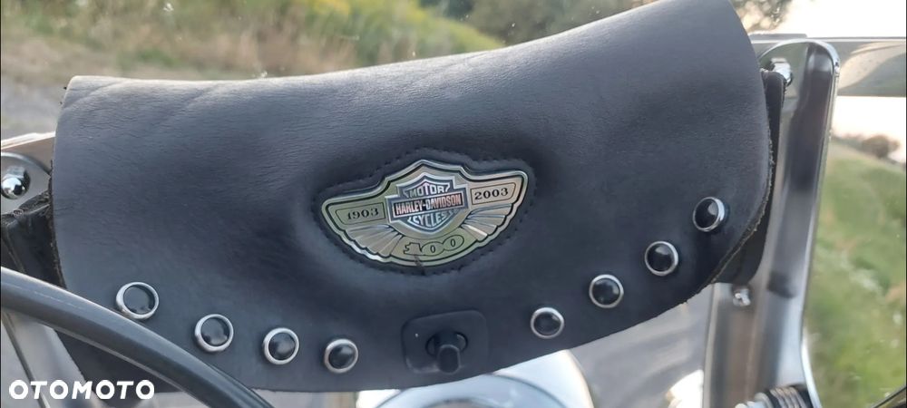 Harley-Davidson Softail - 23