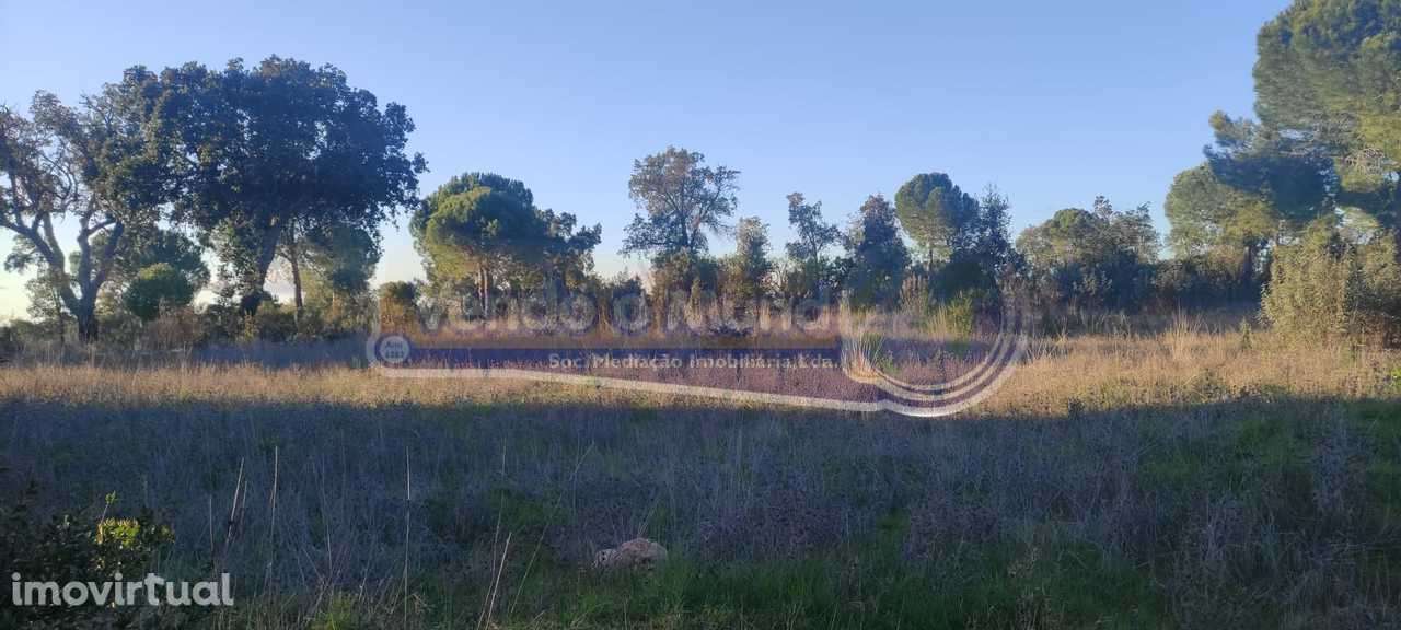 Terreno em Mora (MOR088) - Grande imagem: 3/5