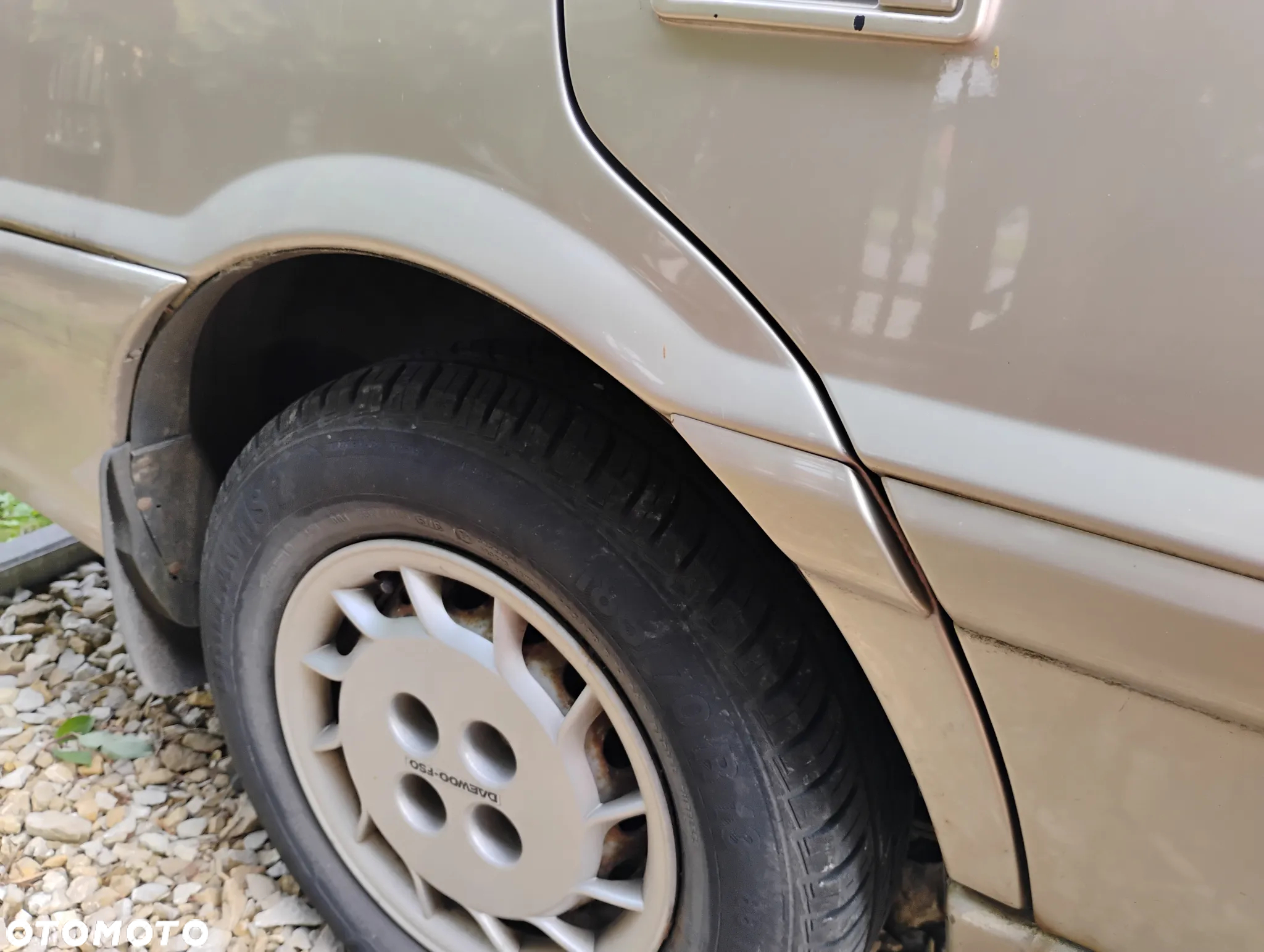 Polonez Caro - 23