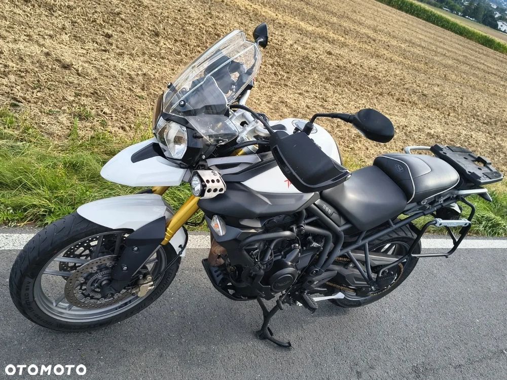 Triumph Tiger - 18