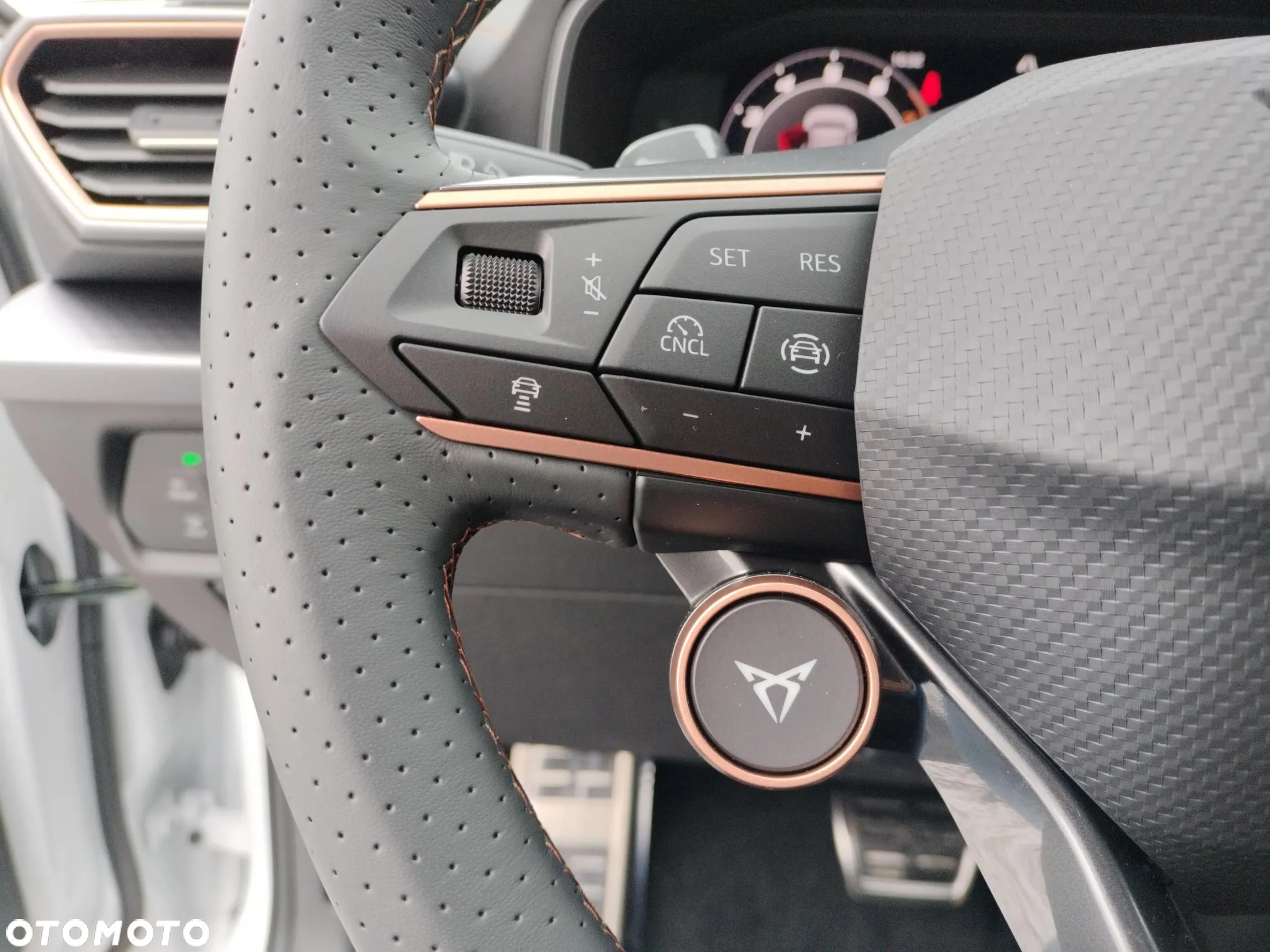 Cupra Formentor 1.5 eTSI mHEV DSG - 24
