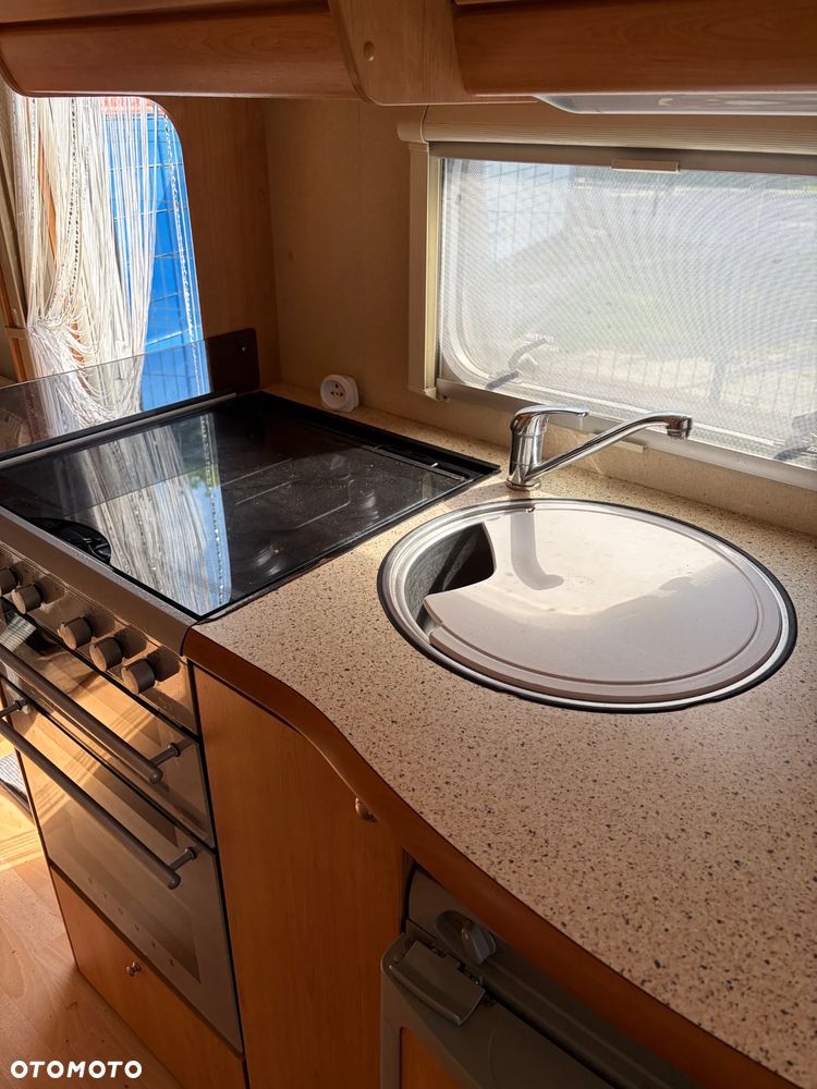 Abi JUBILEE VICEROY - 4