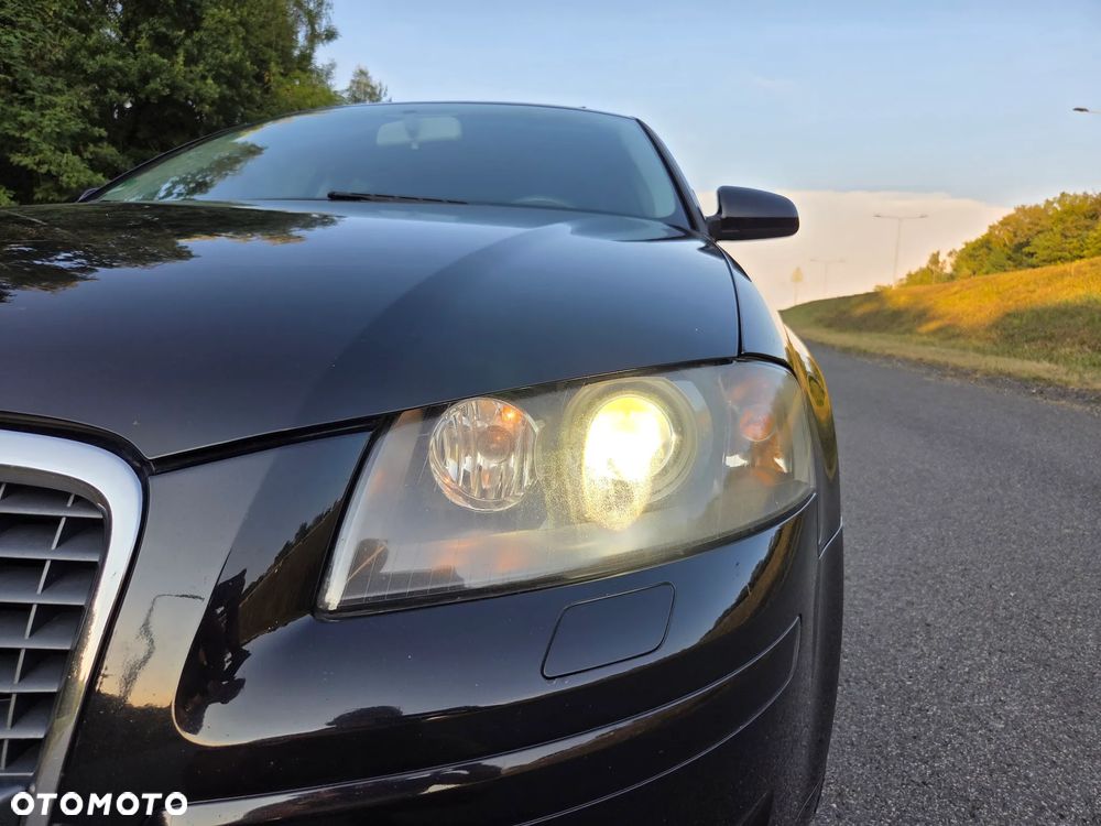 Audi A3 3-drzwiowe 1.6 Attraction - 24