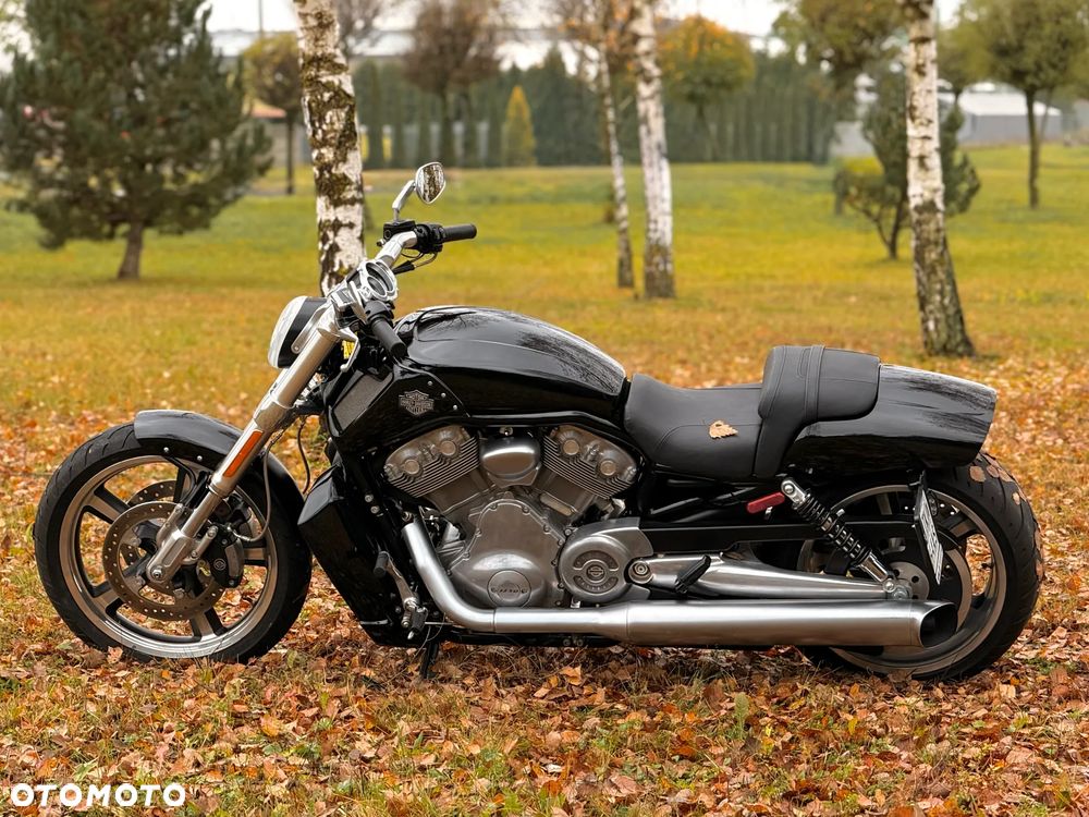 Harley-Davidson V-Rod Muscle - 6