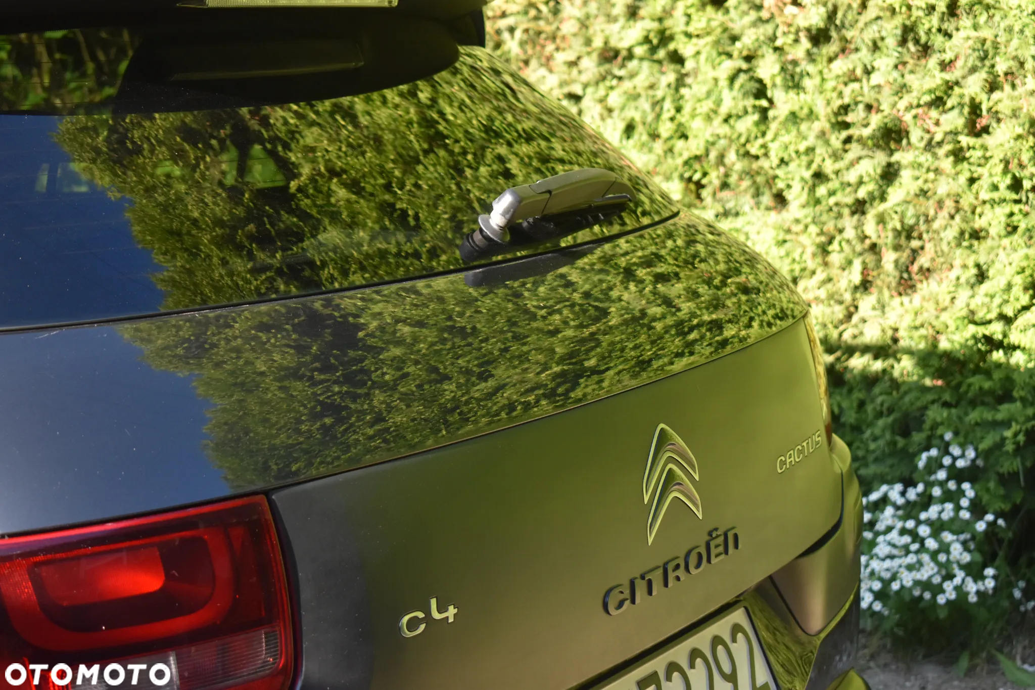 Citroën C4 Cactus 1.2 PureTech Shine - 8