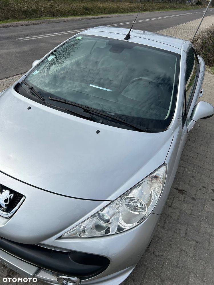 Peugeot 207 - 31