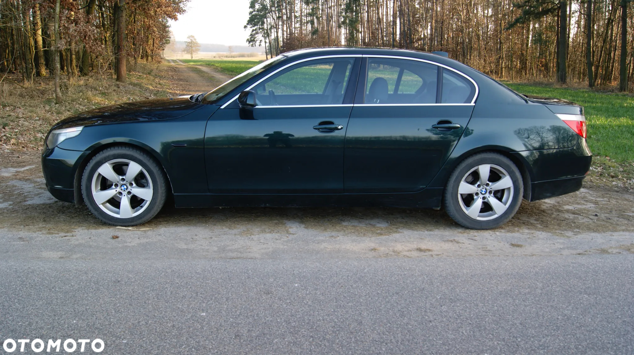 BMW Seria 5 520i - 25