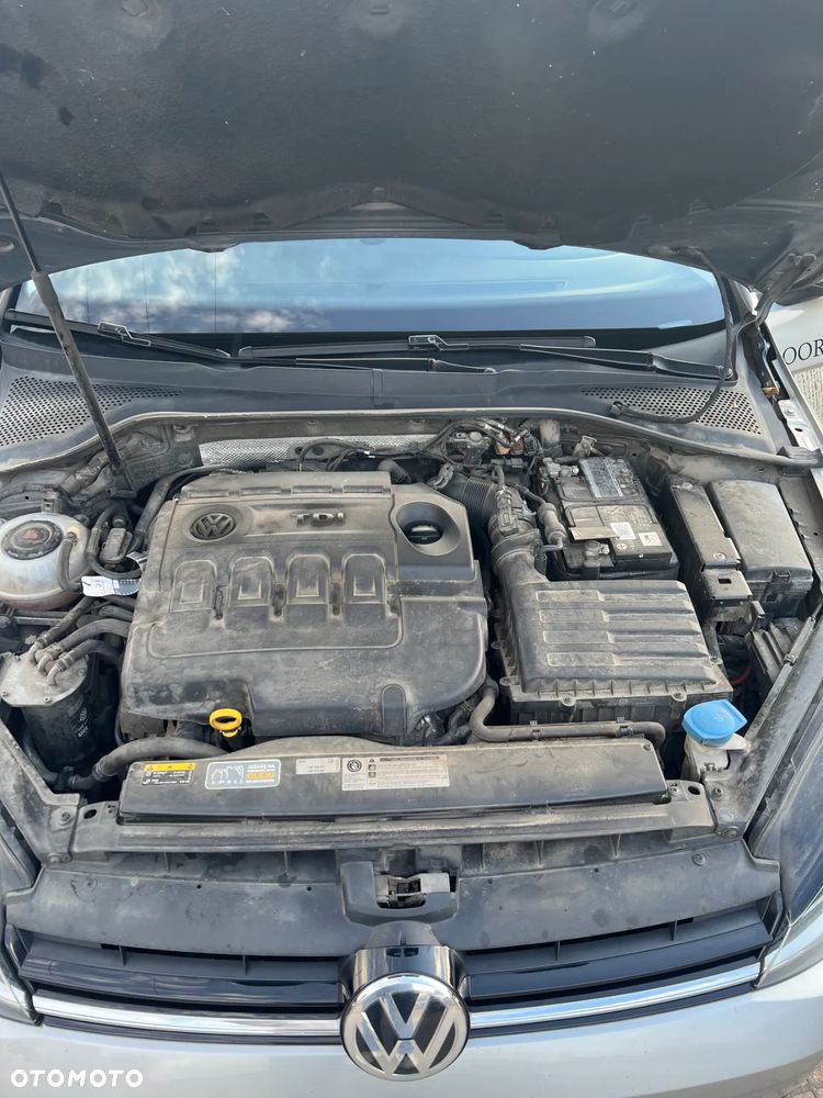 Volkswagen Golf VII 1.6 TDI BMT Trendline - 19