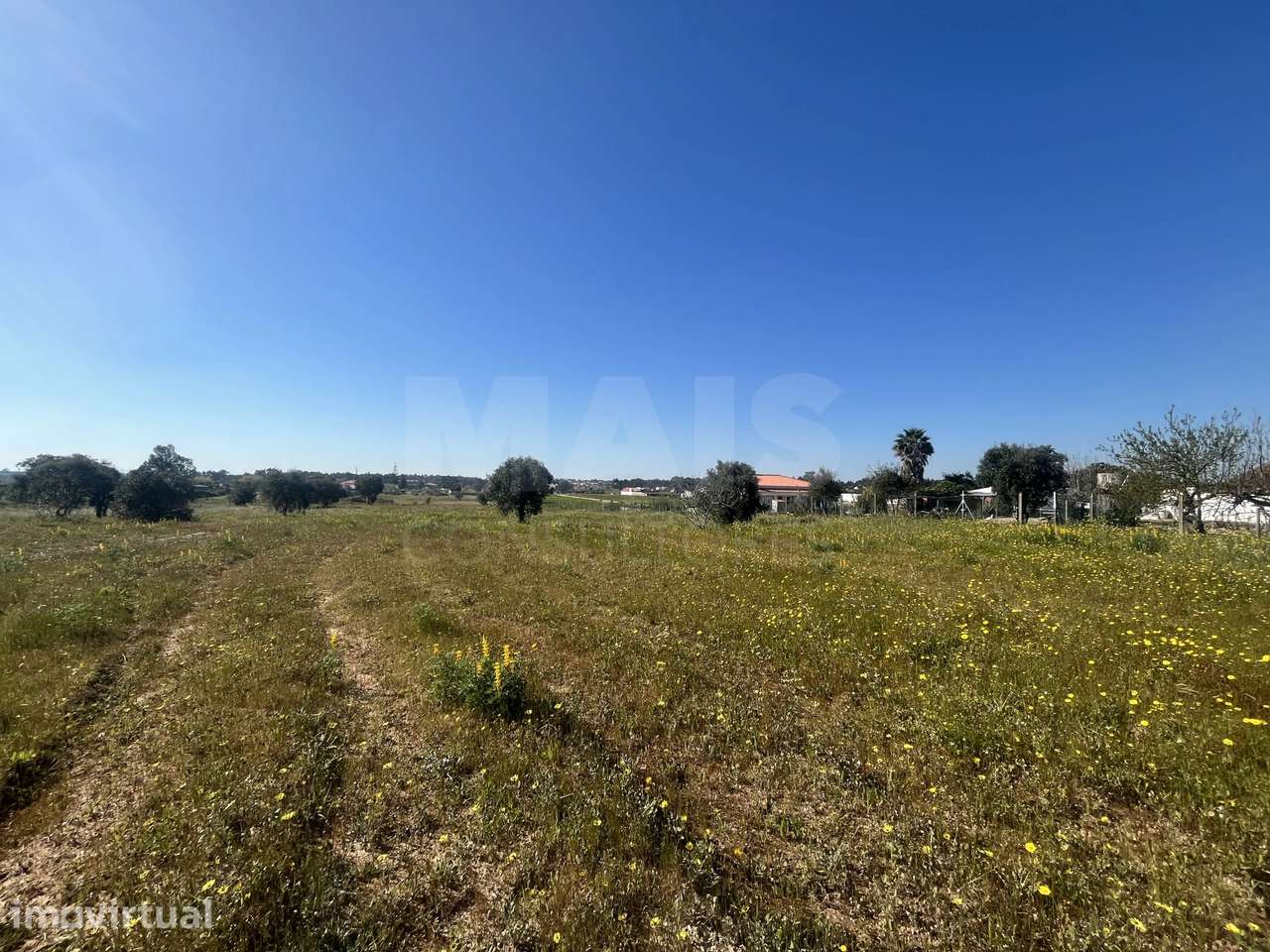 Terreno 12000 m2 em Foros da Charneca - Grande imagem: 5/9