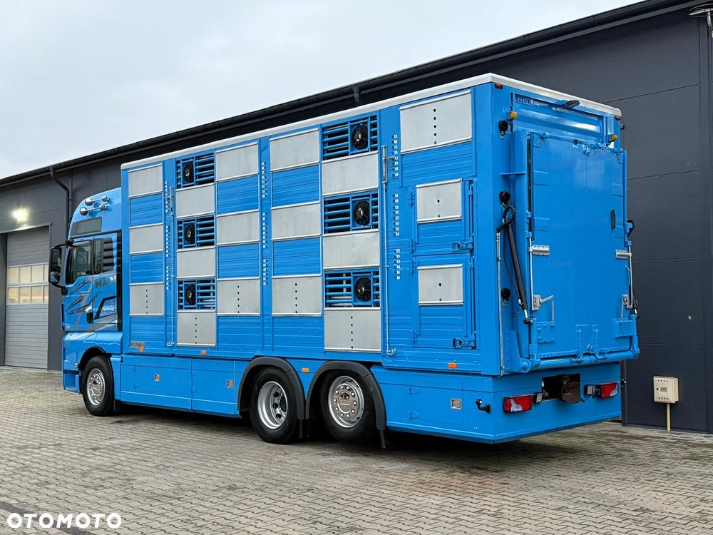 MAN TGX 26.540 // E6 // Zabudowa PEZZAIOLI // 3 poziomy hydraulika, podnoszony dach, rampa hydrauliczna // do żywca, do bydła, do transportu zwierząt - 3