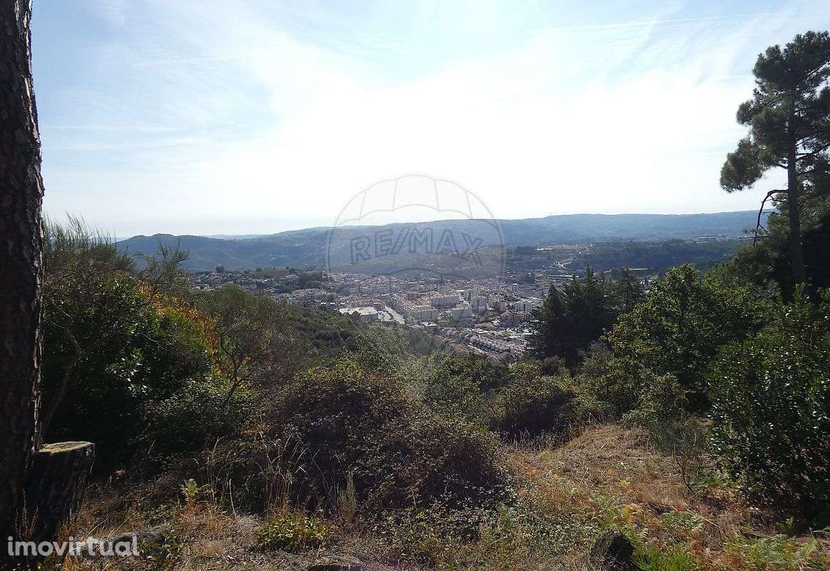 Terreno  para venda - Grande imagem: 3/18