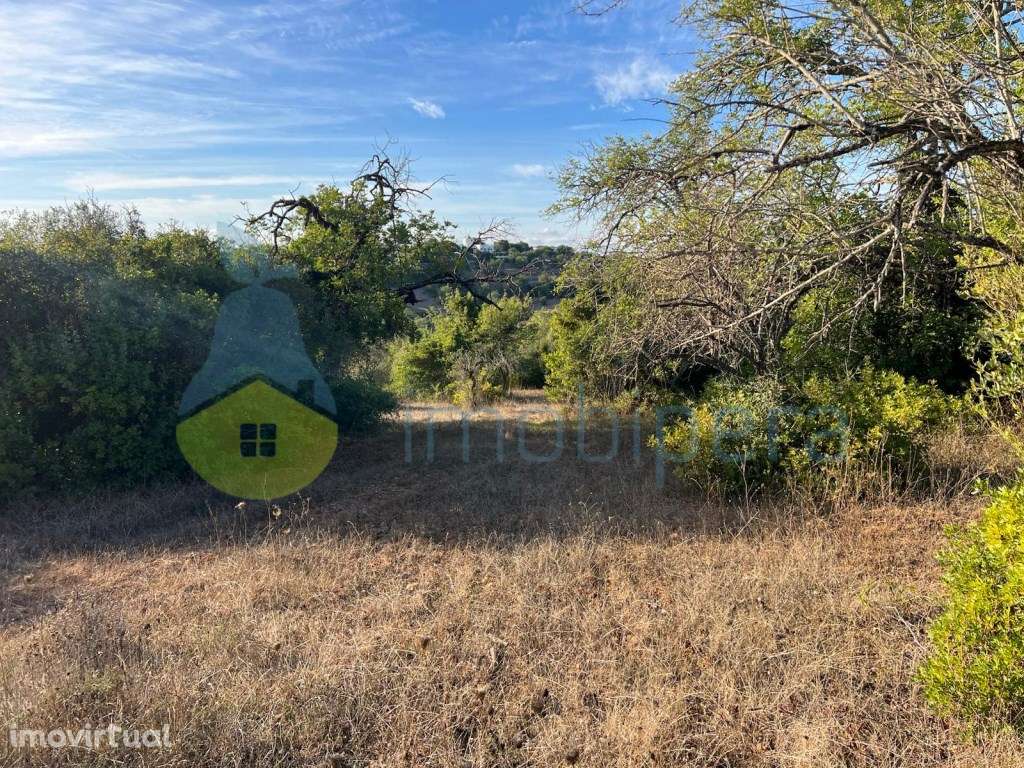 TERRENO RÚSTICO EM ZONA PREVILIGIADA ELECTRICIDADE E VISTA DESLUMBR... - Grande imagem: 2/10