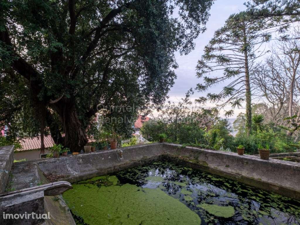 Propriedade histórica com 15.640 m² em Sintra - Grande imagem: 4/34