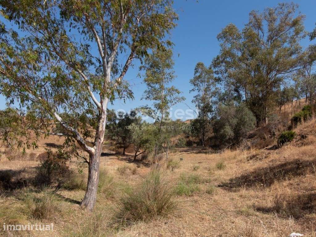 Lote de Terreno Rústico de cultivo nas Fontainhas - Castro Marim - Grande imagem: 4/26