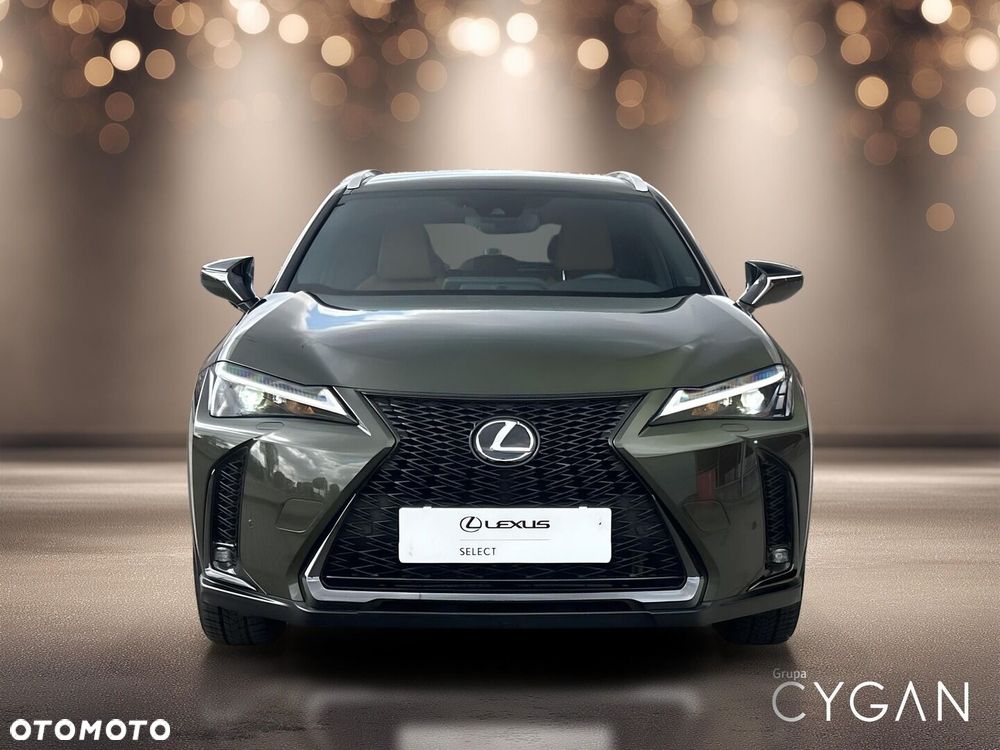 Lexus UX 250h GPF F Sport Design+ 2WD - 10