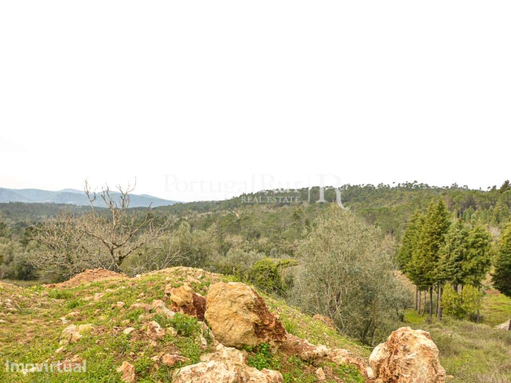 Terreno de 16.000m2 para quintinha rural - Grande imagem: 5/12
