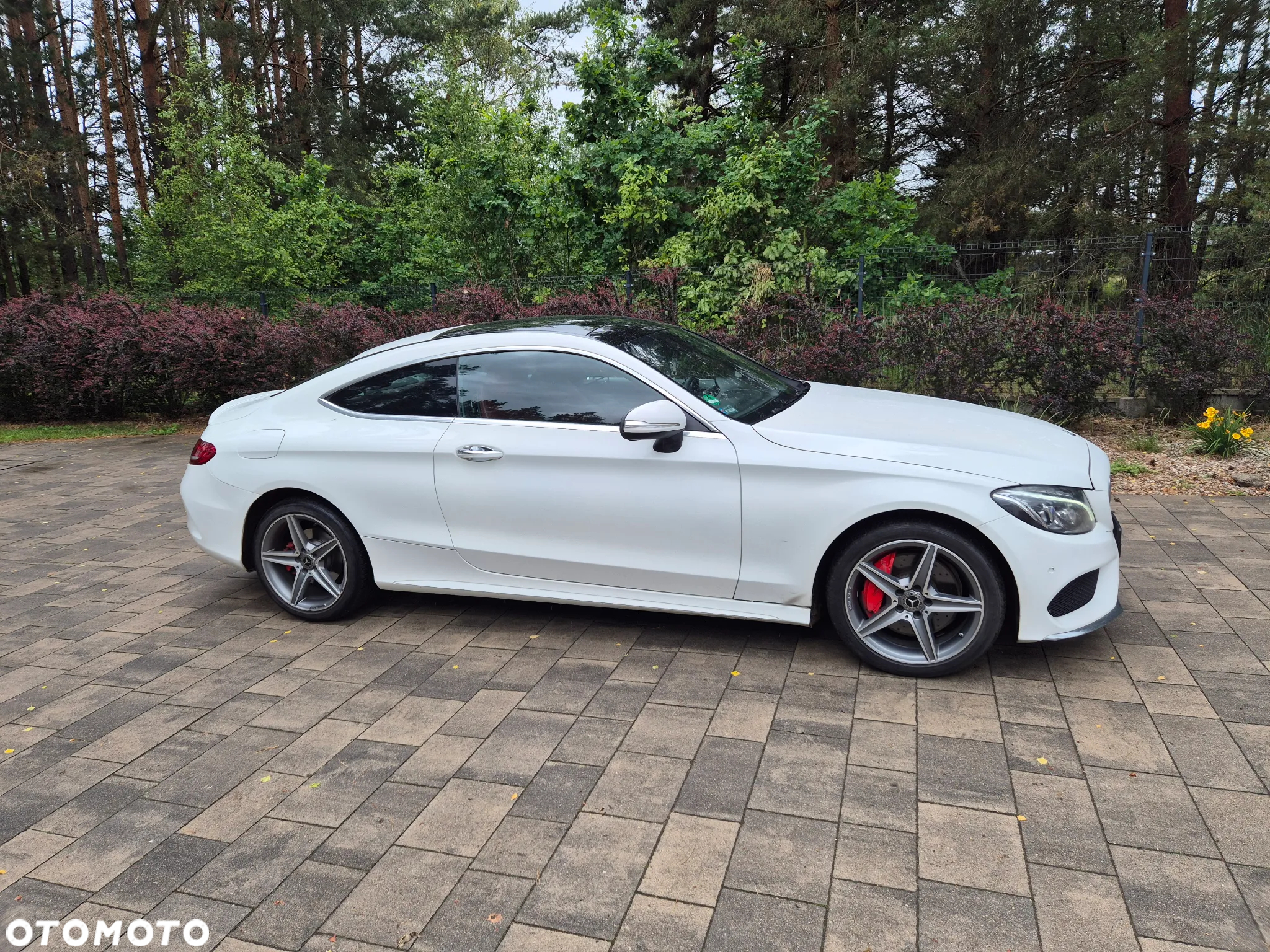 Mercedes-Benz Klasa C 300 4MATIC 9G-TRONIC - 7
