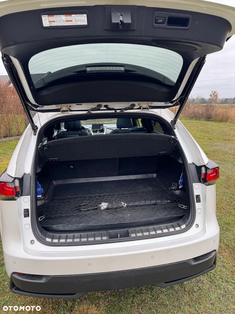 Lexus NX 300h F Sport AWD - 6