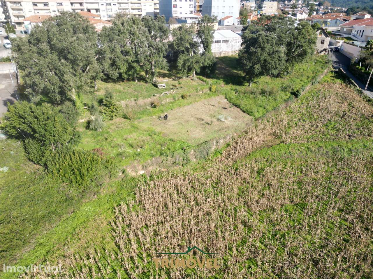 Terreno Urbano  Venda em Oliveira de Azeméis, Santiago de Riba-Ul, Ul, - Grande imagem: 4/19