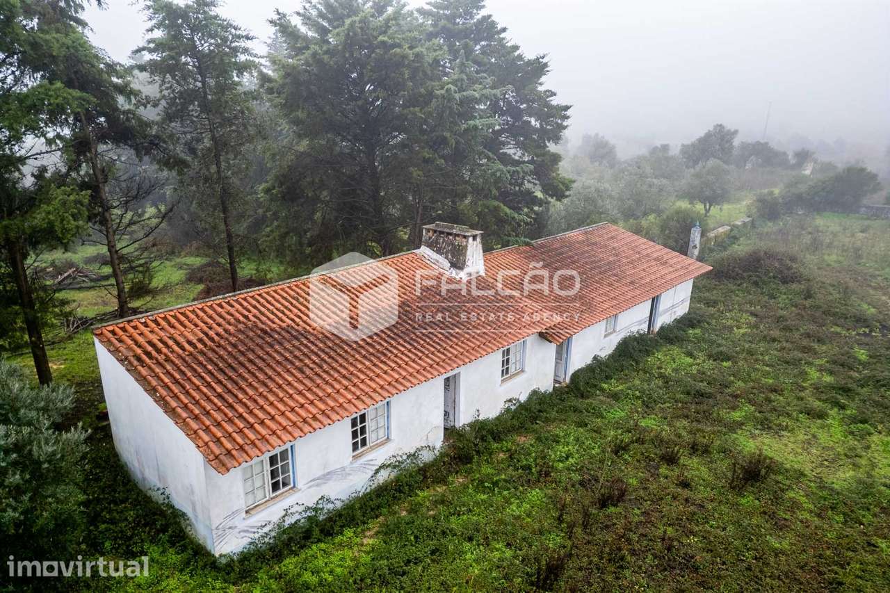 Fábrica/Indústria  Venda em Olaia e Paço,Torres Novas - Grande imagem: 2/32