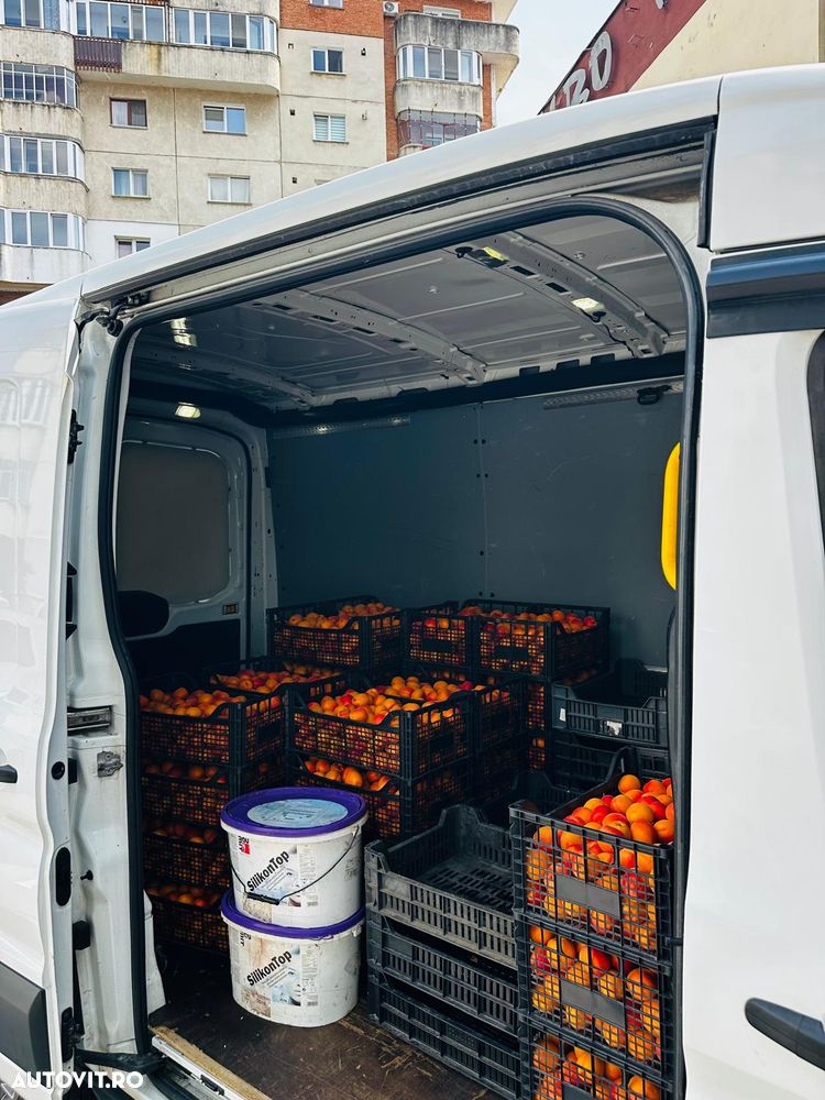 Ford Transit - 5