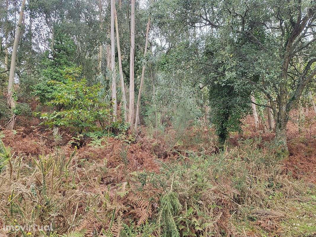 Terreno  para venda - Grande imagem: 4/9