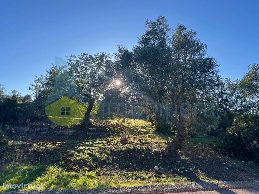 TERRENO RÚSTICO 6.000m2 ZONA CAMPESTRE - Grande imagem: 3/17