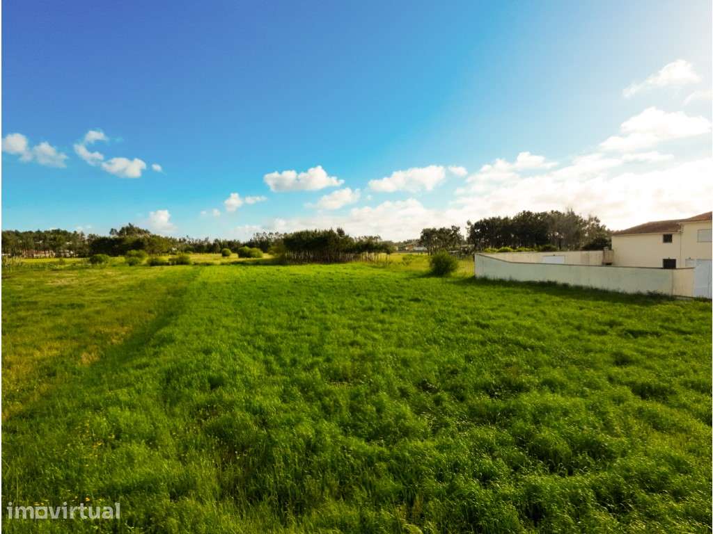 Terreno!! Sampaio!! Figueira da Foz - Grande imagem: 3/10