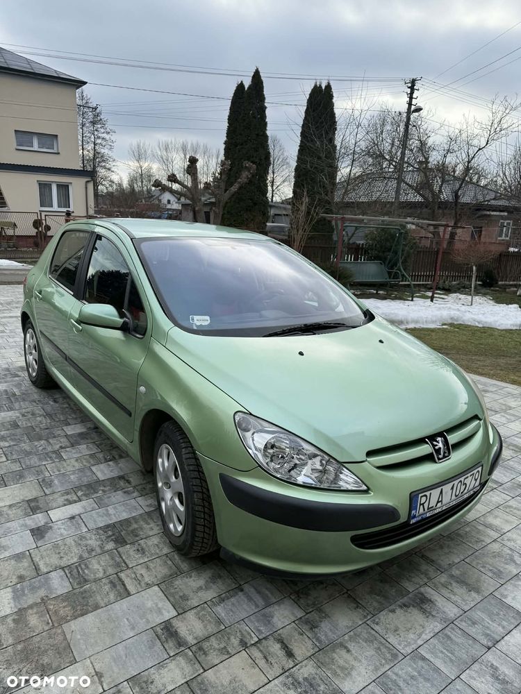 Peugeot 307 1.6 XS - 2