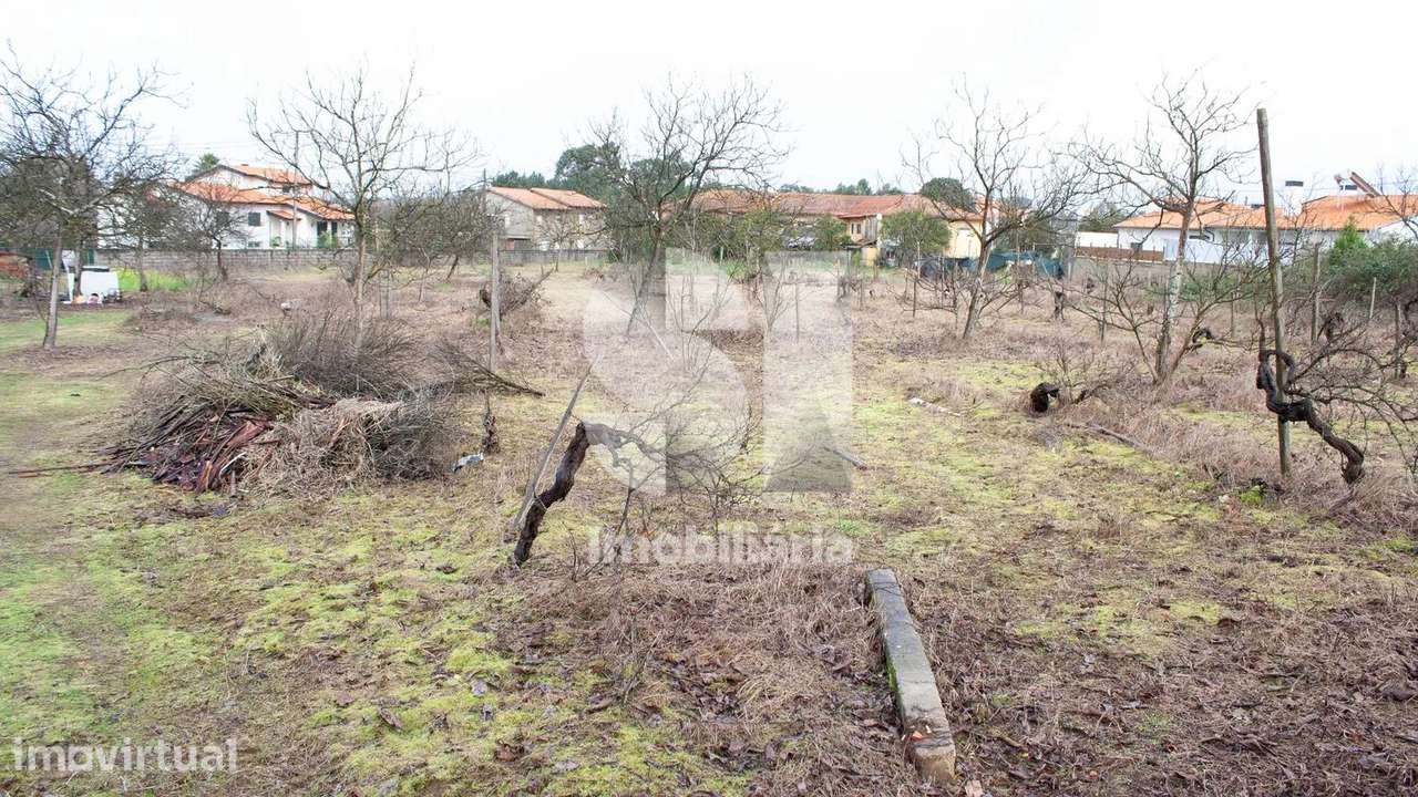 Terreno Urbanizável com 8270 m2 em Vila Verde, Oliveira do Bairro - Grande imagem: 5/10