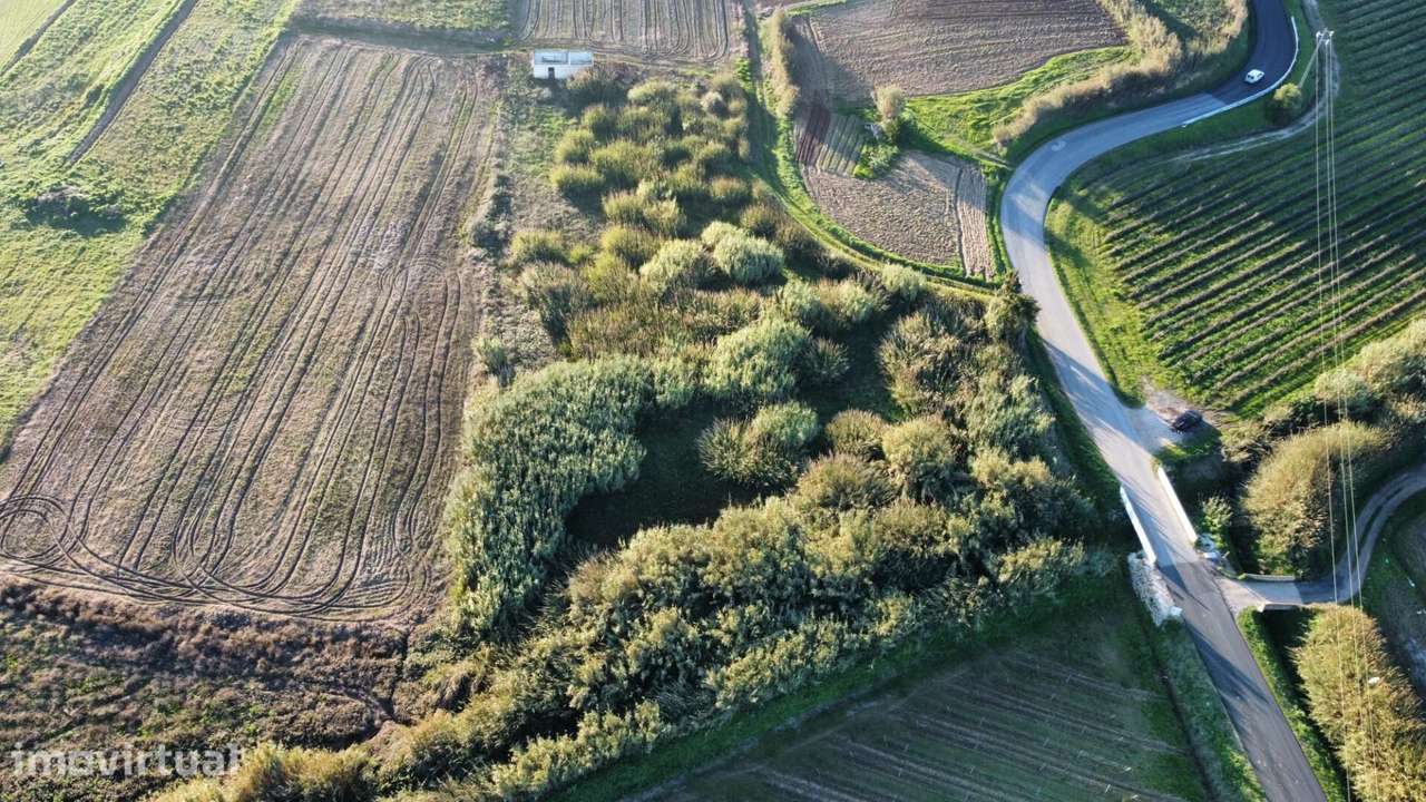 Terreno Plano Agrícola, 5.898 m2, Poço, Arrecadação e Bons Acessos–S P - Grande imagem: 5/27