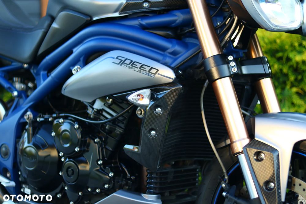 Triumph Speed Triple - 8