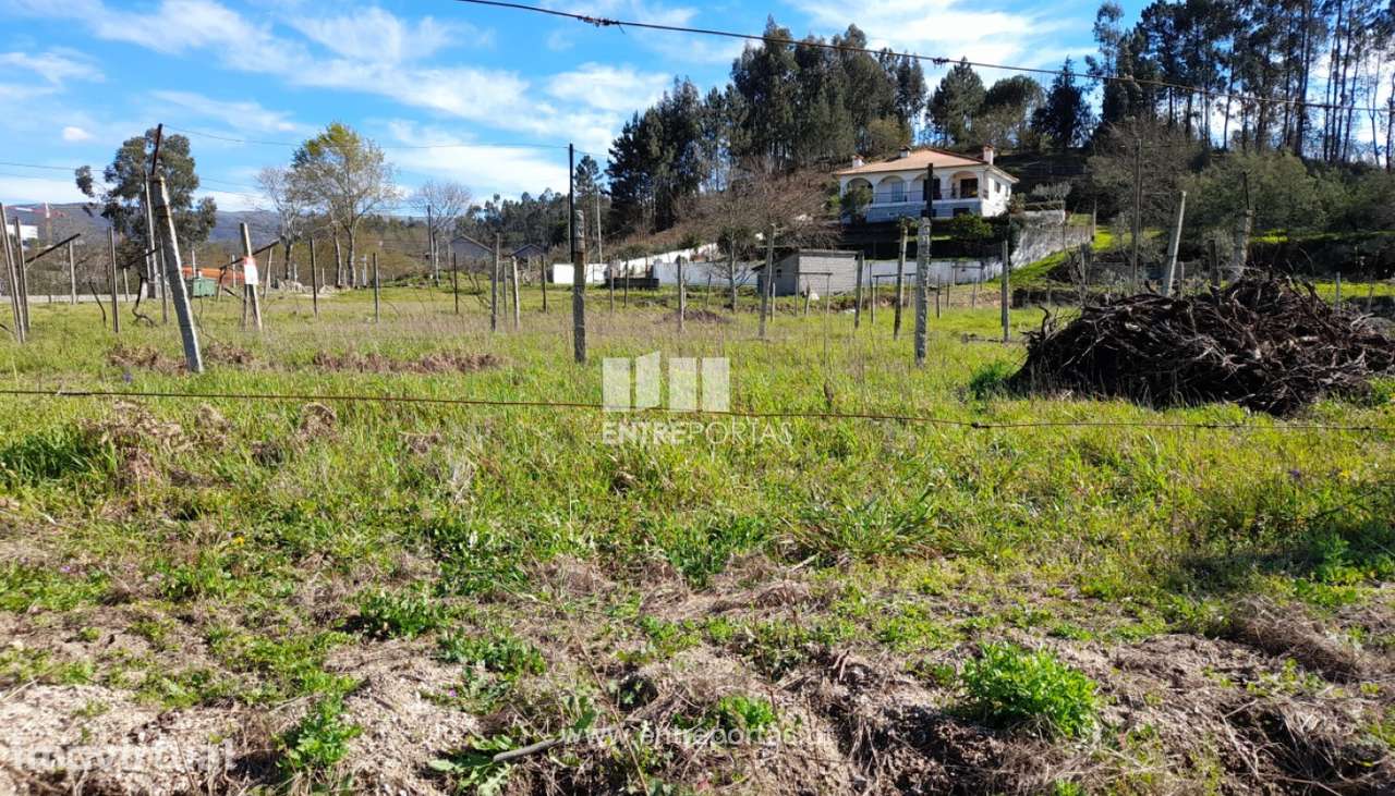 Venda Terreno, Salvador do Monte, Amarante - Grande imagem: 2/41