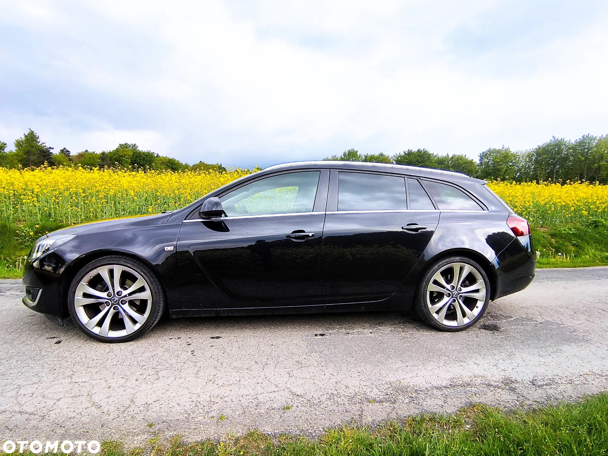Opel Insignia 2.0 CDTI Sport S&S - 25